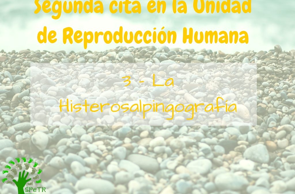 Segunda cita en la Unidad de Reproducción: 3 – La Histerosalpingografía