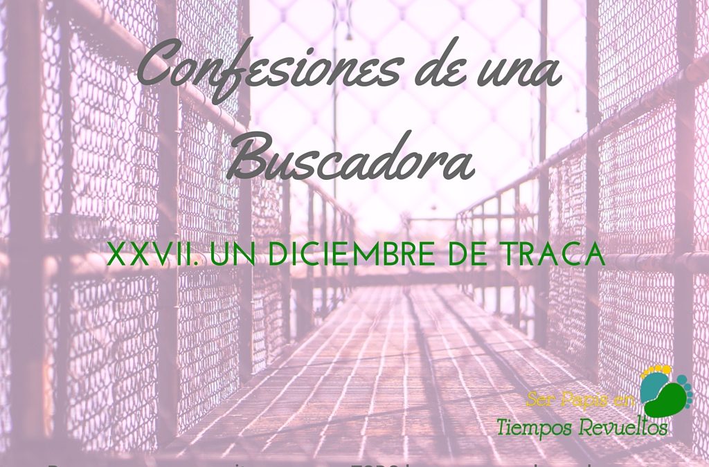Un diciembre de traca – Confesiones de una Buscadora XXVI