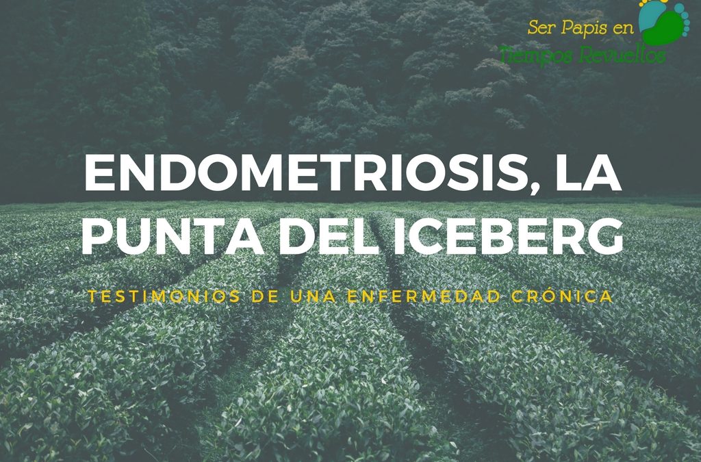 Endometriosis, la punta del iceberg: Testimonios de una enfermedad crónica