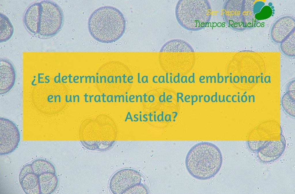 ¿La calidad embrionaria es determinante en un tratamiento de Reproducción Asistida?