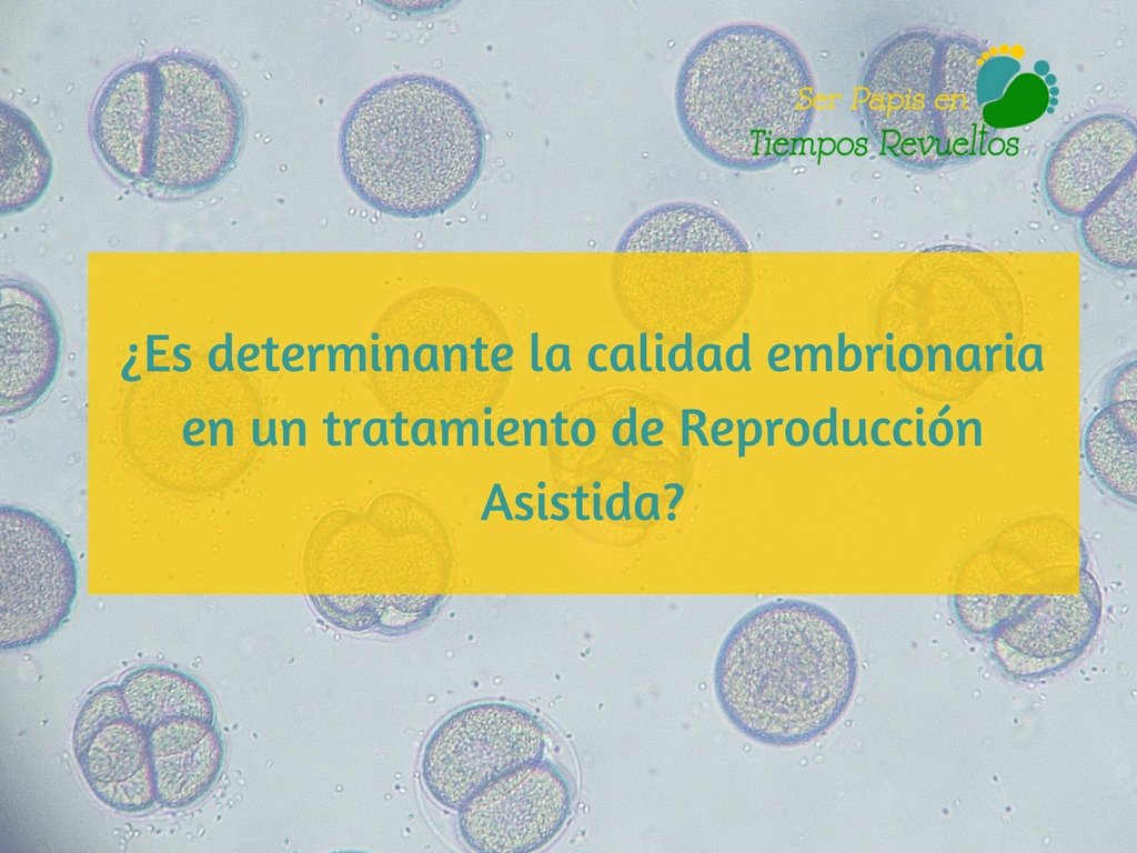 ¿La calidad embrionaria es determinante en un tratamiento de Reproducción Asistida?